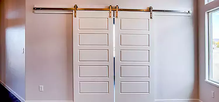 Glass Barn Door with Installation Hardware Kit Franconia